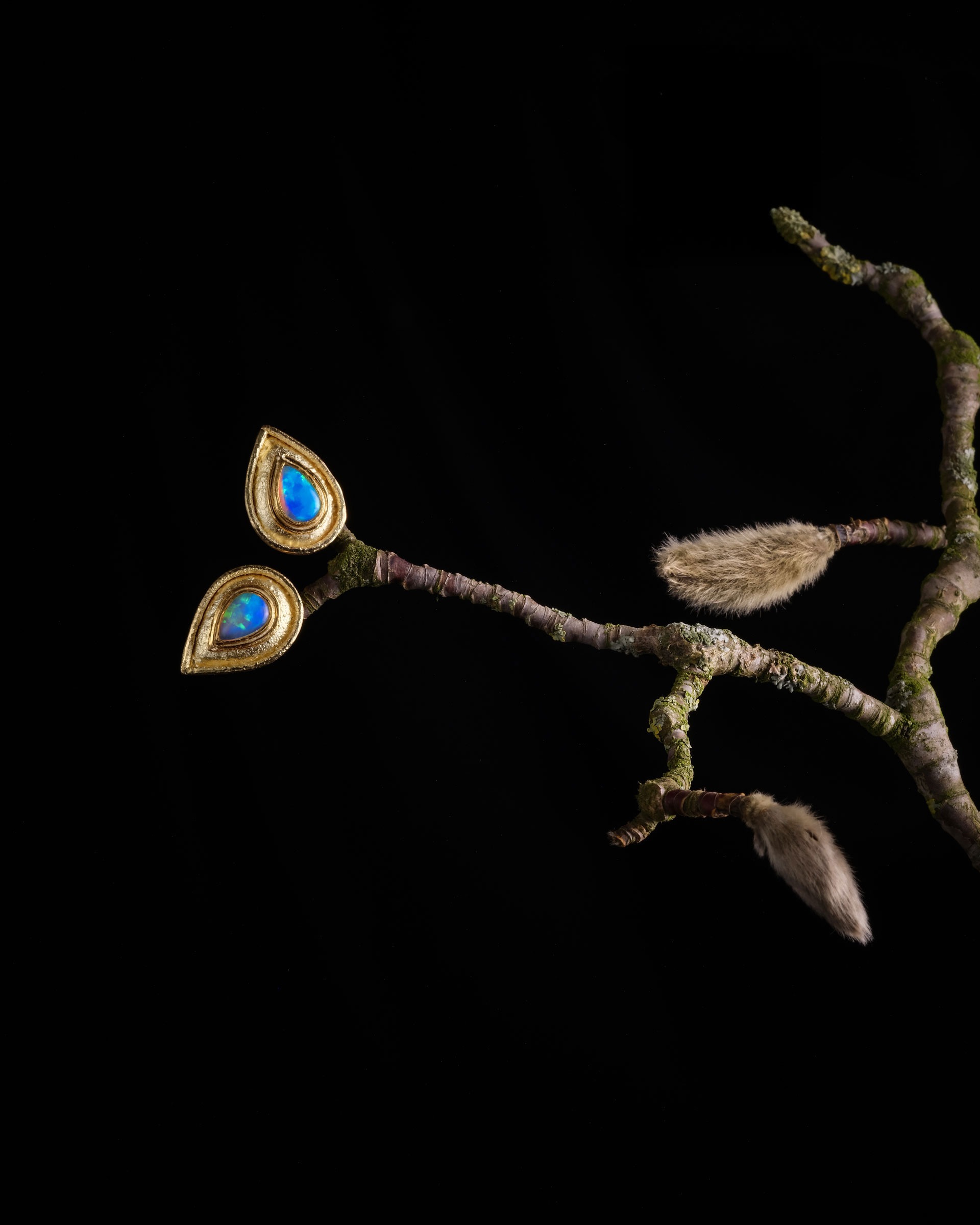 Ohrschmuck6_Ast_web2_4zu5